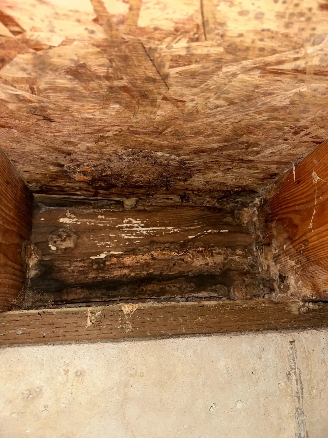 rotted rim joist in crawlspace caused by water intrusion ferndale